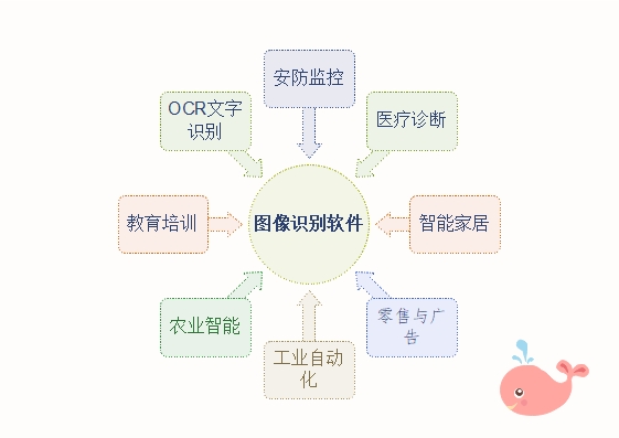 图像识别软件定制开发