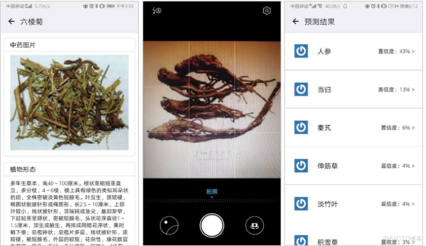 中药图像识别系统软件定制开发