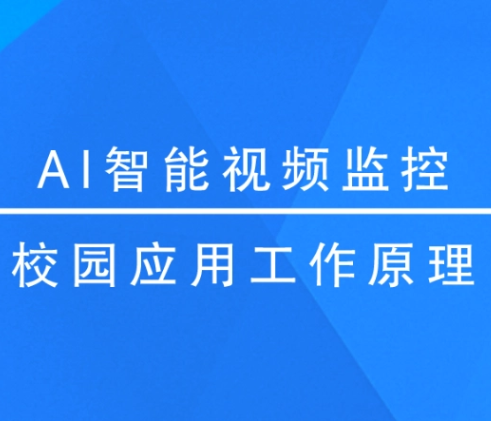 学校AI视频行为分析监测系统软件定制开发