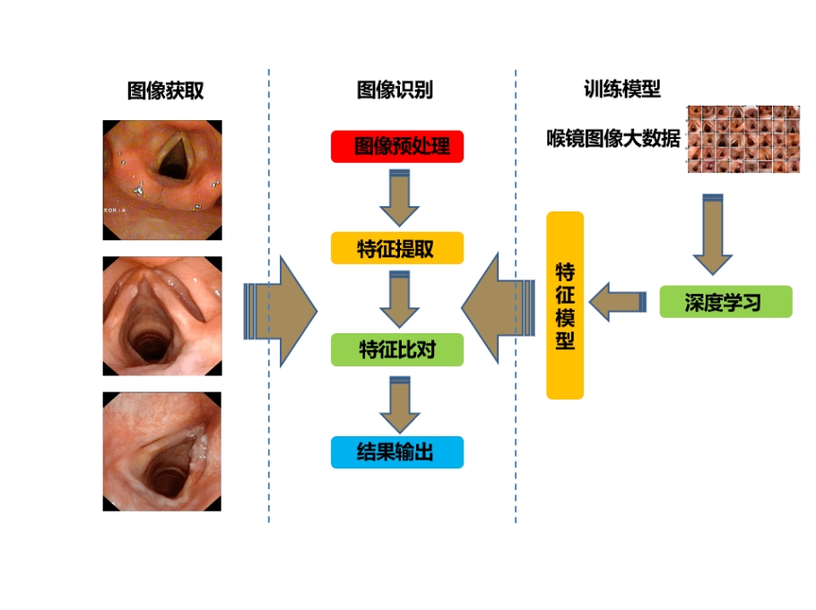 人工智能的全自动喉镜图像识别系统软件定制开发