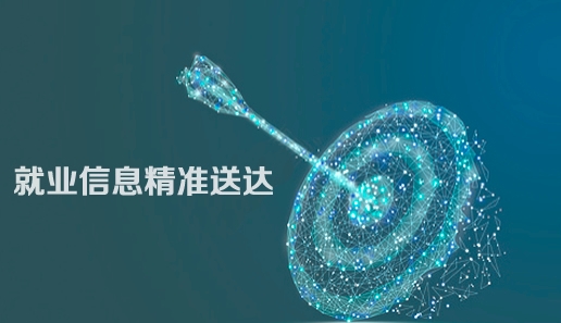 公共就业信息管理系统软件定制开发